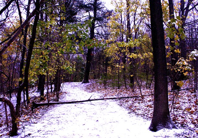 photo 0242