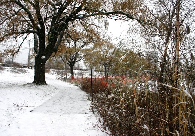 photo 0243