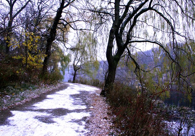 photo 0245