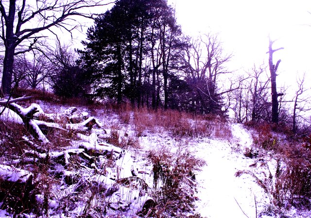 photo 0246