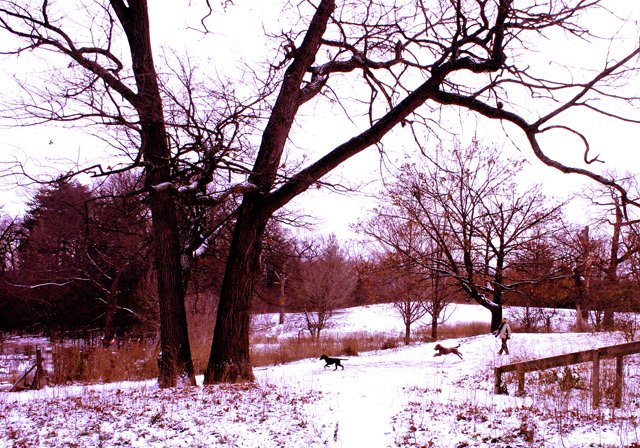 photo 0249