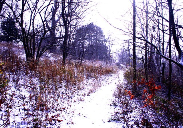 photo 0250