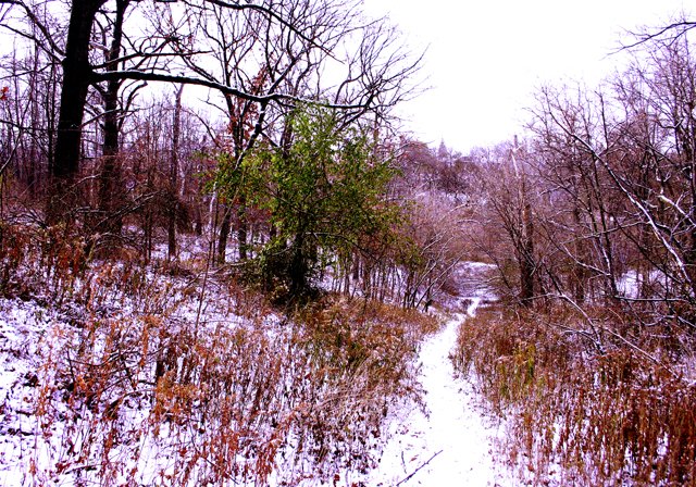 photo 0251