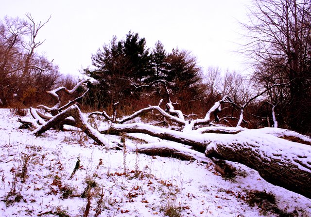 photo 0255
