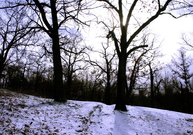 photo 0256