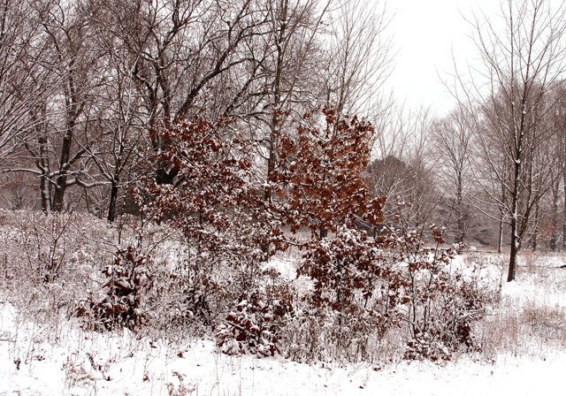 photo 0276