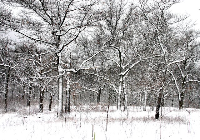 photo 0301