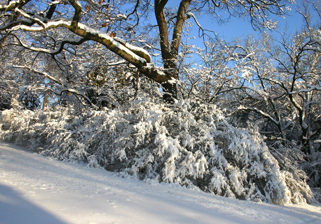 photo 0302