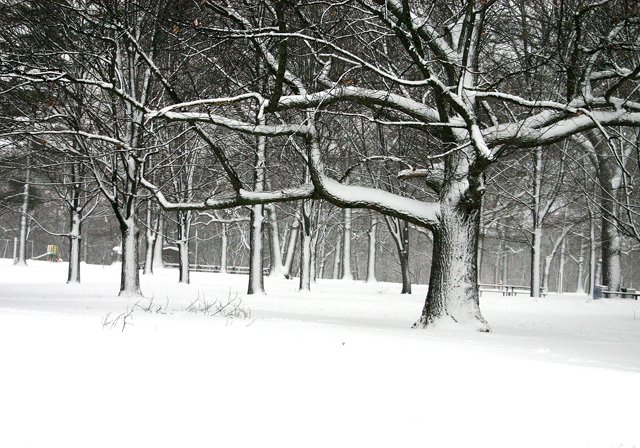 photo 0303