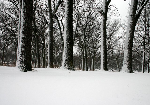 photo 0311
