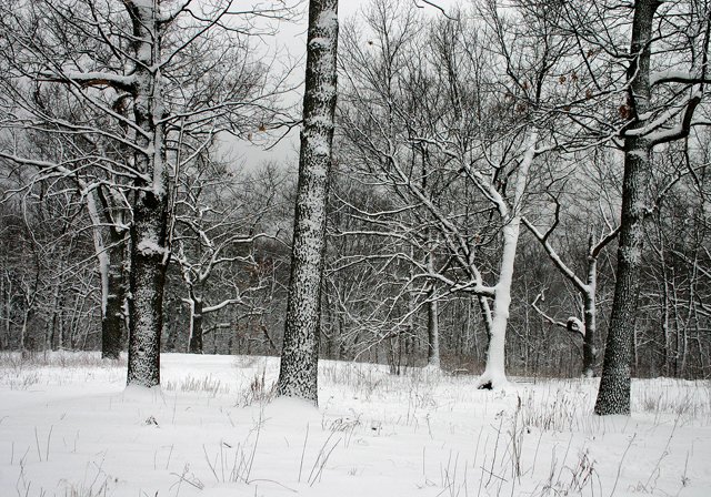 photo 0315