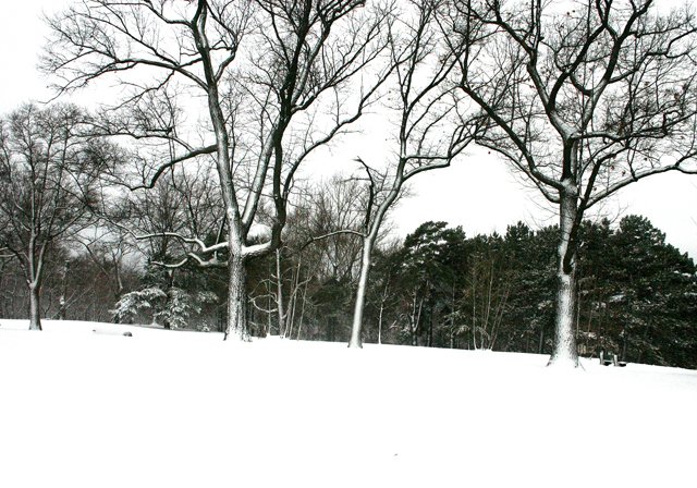 photo 0316