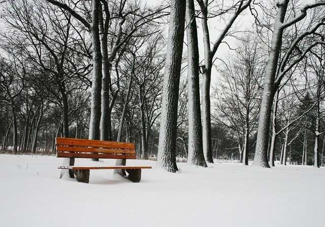 photo 0318