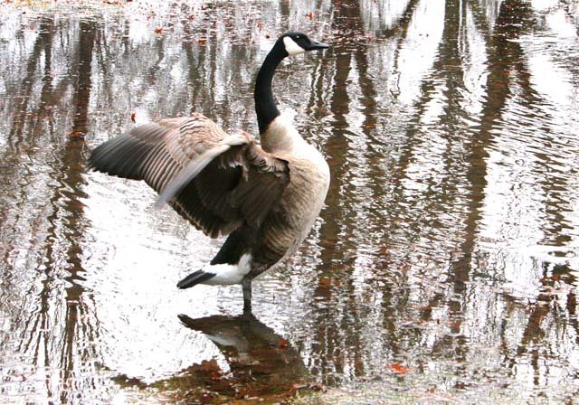 photo 0340